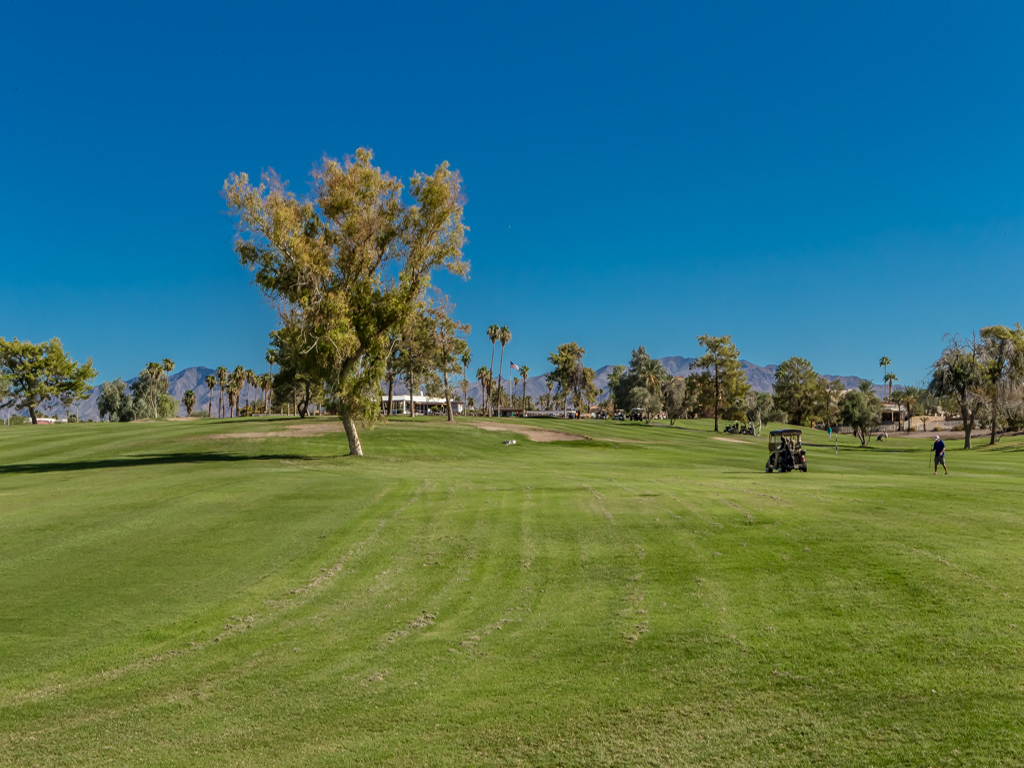 search homes in lake havasu