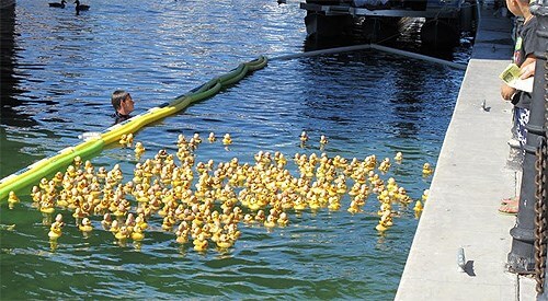 Derby Duck Race 2017