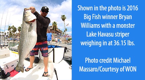 37th Annual WON Striper Derby | Lake Havasu City